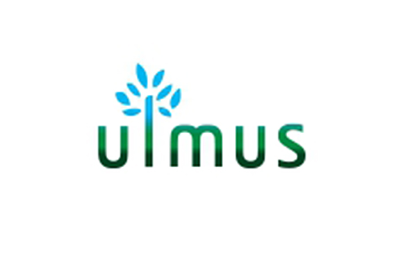 (주)얼머스인베스트먼트