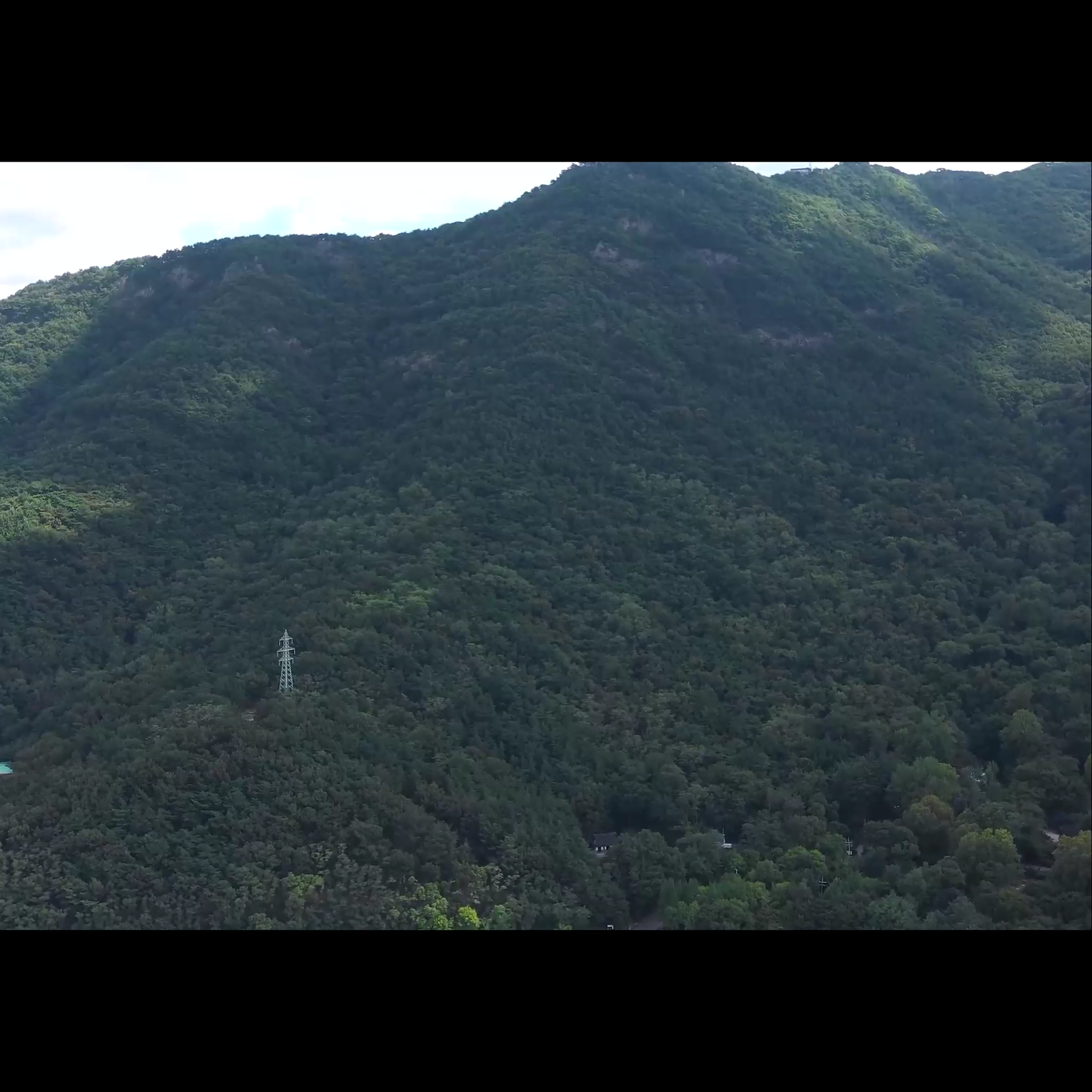 향기가 좋다 두번째 이야기